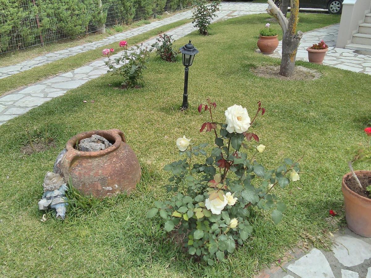 Casa Memories Apartment Lefkada City Bagian luar foto